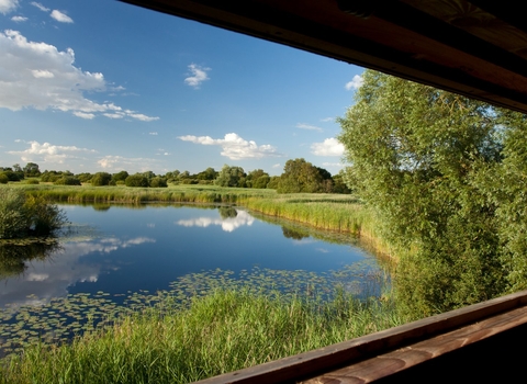 View from birdwatching hide over wetland habitat